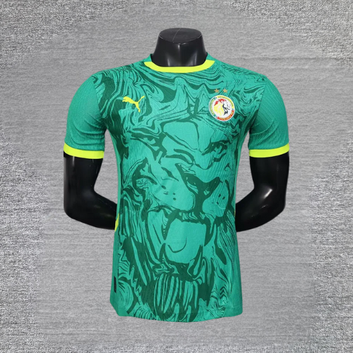 Maillot Sénégal Vert 25/26 - 2 étoiles