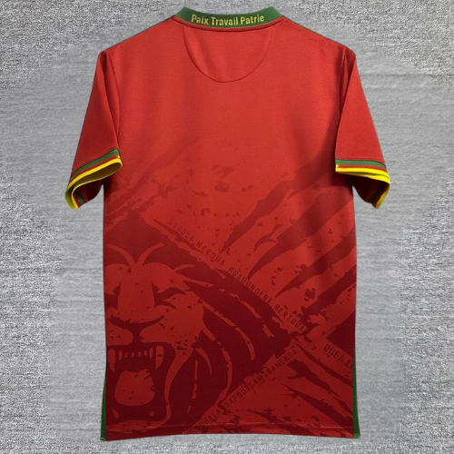 Maillot Cameroun 25/26